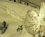 Seeds of Time 2 Project with Liz Douglas