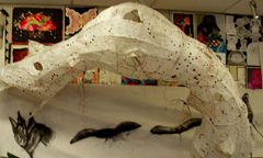 Seeds of Time 2 Project with Liz Douglas