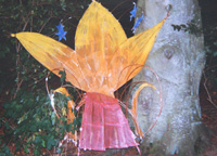 Seeds of Time Project with Liz Douglas