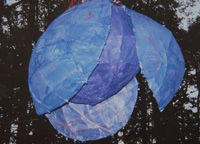 Seeds of Time Project with Liz Douglas