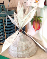 Willowlines Project with Liz Douglas