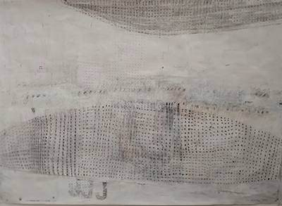 Diatom Drawing